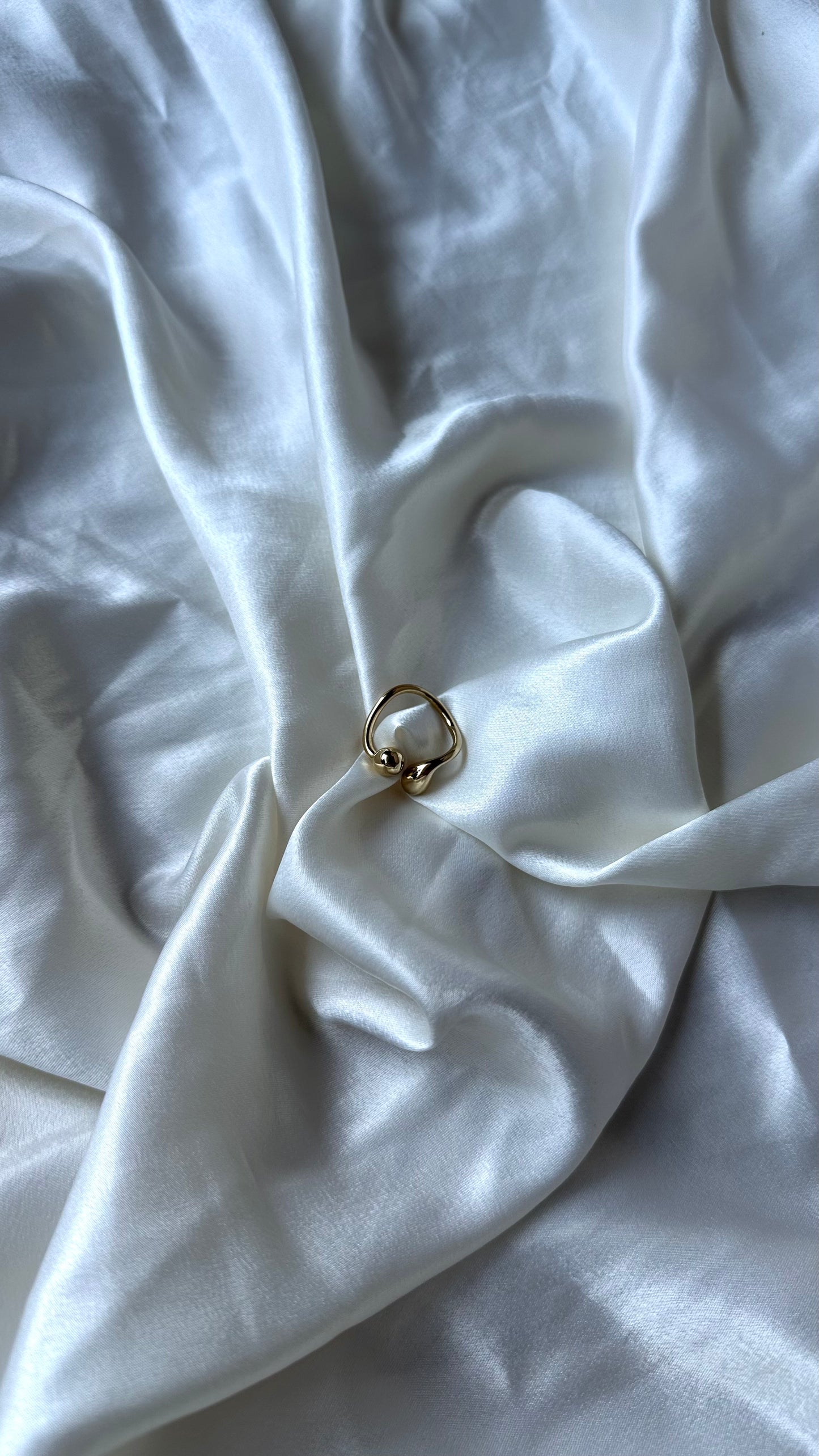 ANILLO MAGNET