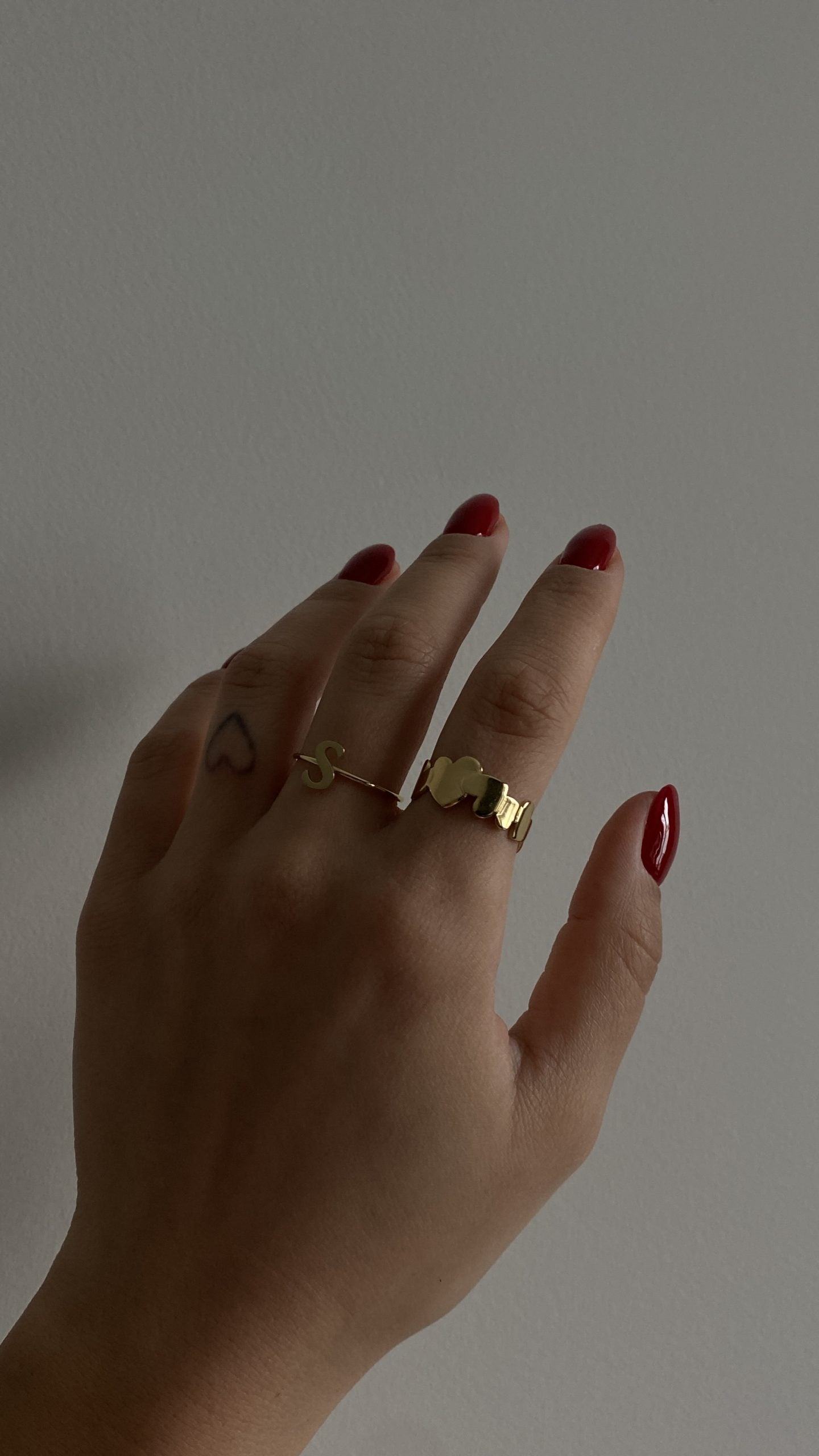 ANILLO INICIALES