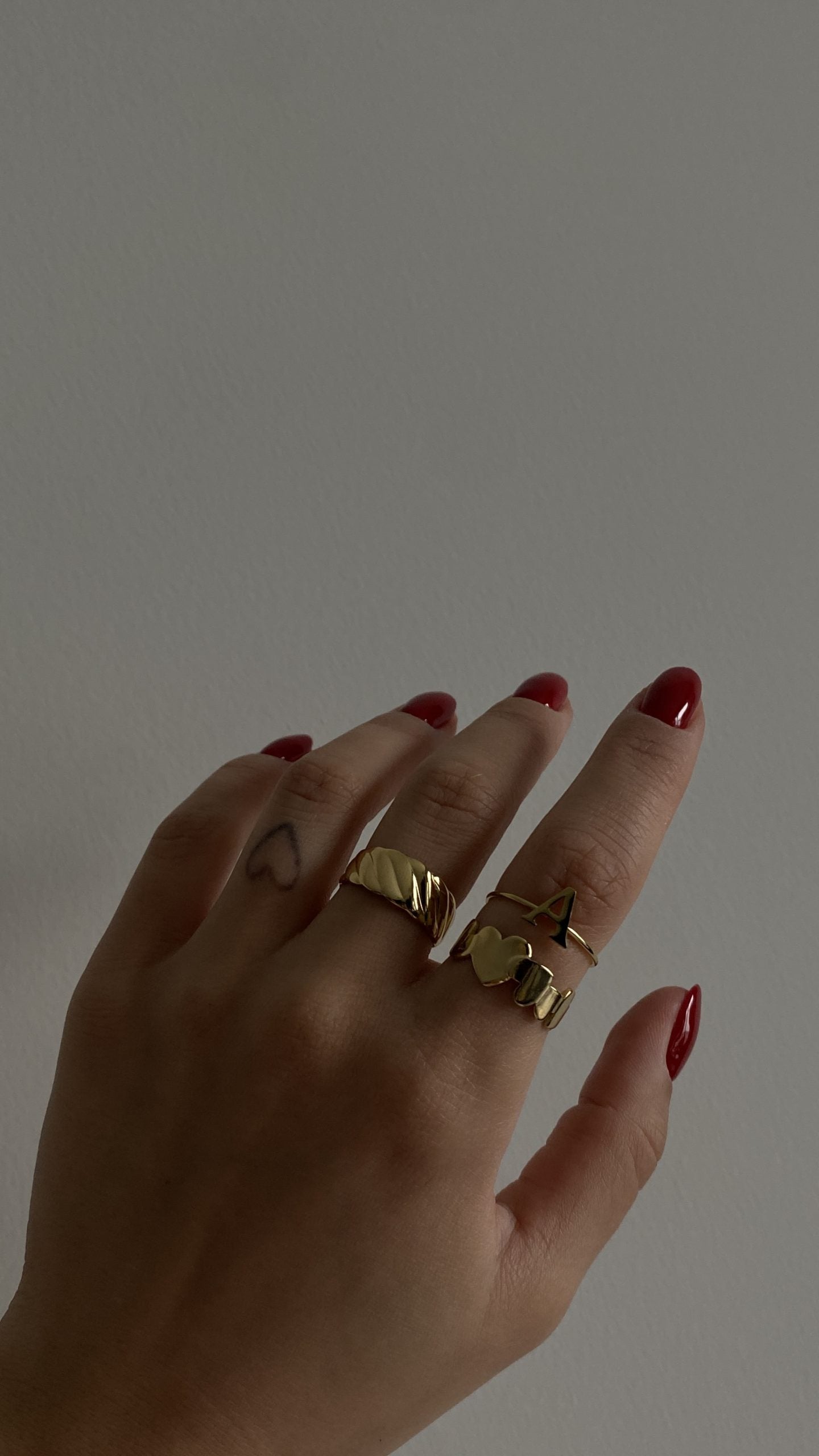 ANILLO INICIALES